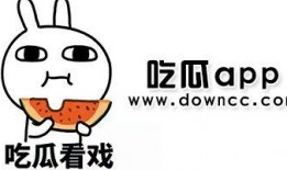 有没有网红吃瓜网站,揭秘娱乐圈幕后真相的“瓜田”