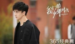 我们的少年时代全集在线观看,青春岁月的回忆录
