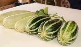 微信免费吃网红瓜,免费尝鲜！一起解锁微信网红瓜的秘密