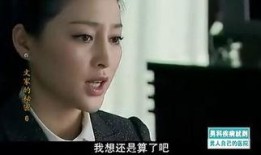 文家的秘密在线观看,在线观看解锁家族传奇