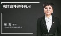 离婚律师爆料案例最新视频,最新案例视频曝光惊人内幕