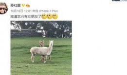 小绵羊圈内爆料,揭秘娱乐圈不为人知的幕后故事