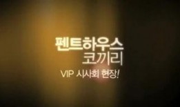 阁楼里的大象在线观看,揭秘“阁楼里的大象”神秘世界