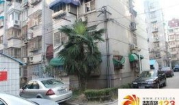 九龙小区爆料视频大全,揭秘社区生活点滴