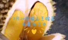榴莲加工厂爆料视频,揭秘榴莲加工全过程
