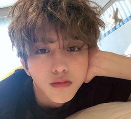 娱乐吃瓜酱程序员